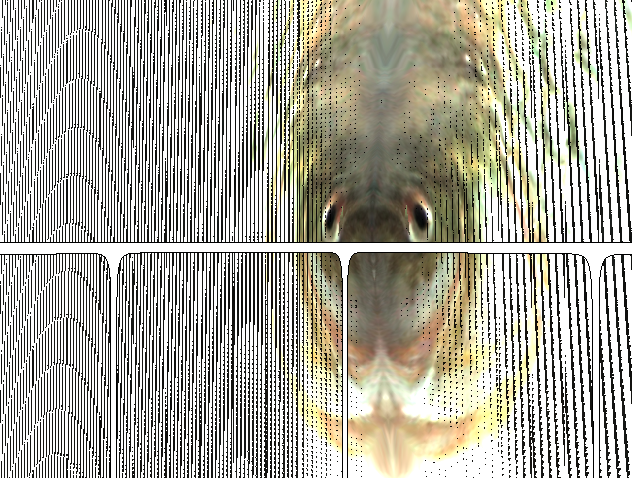 Inside face of a fish