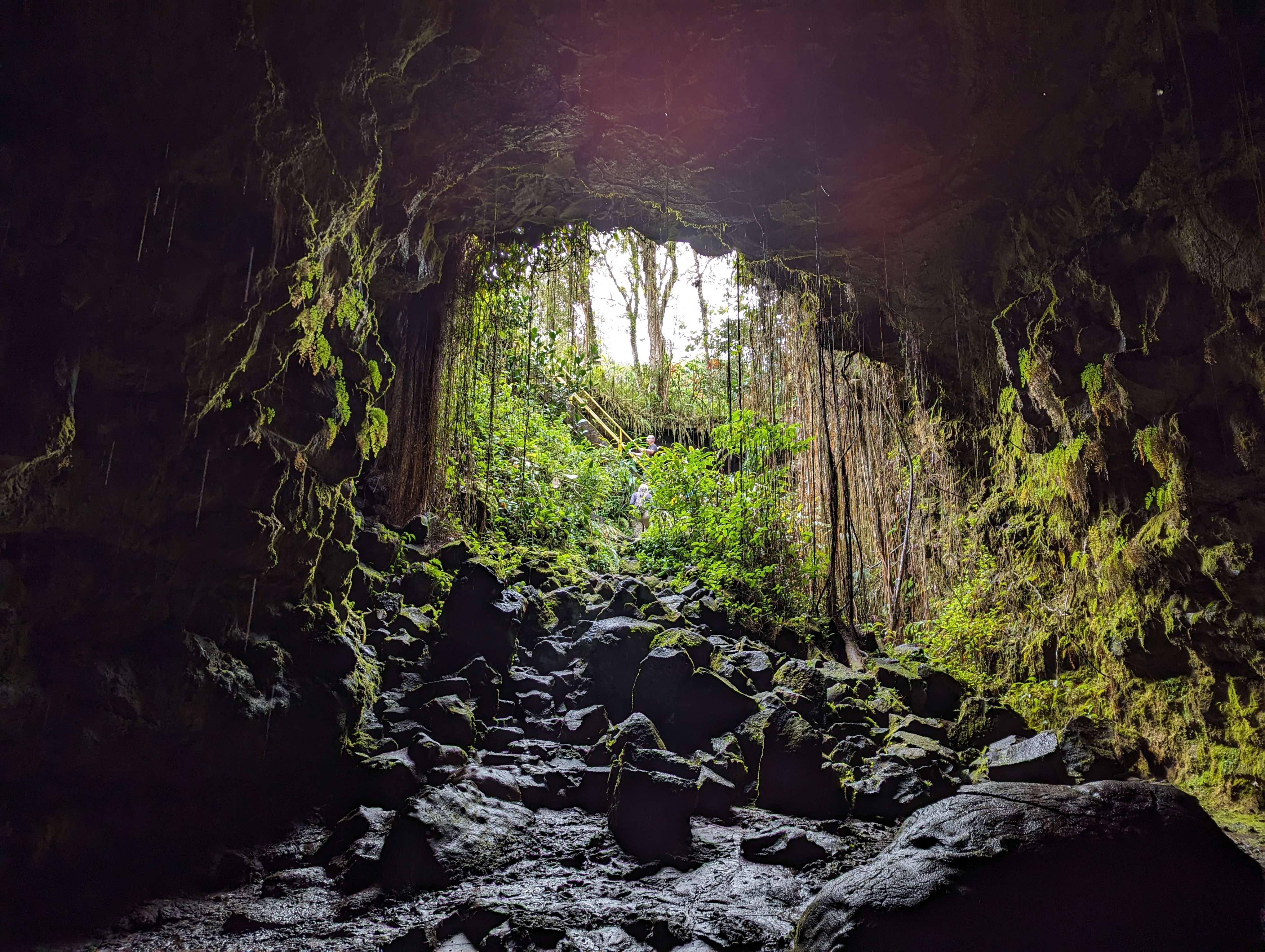 Lush overgrown cave