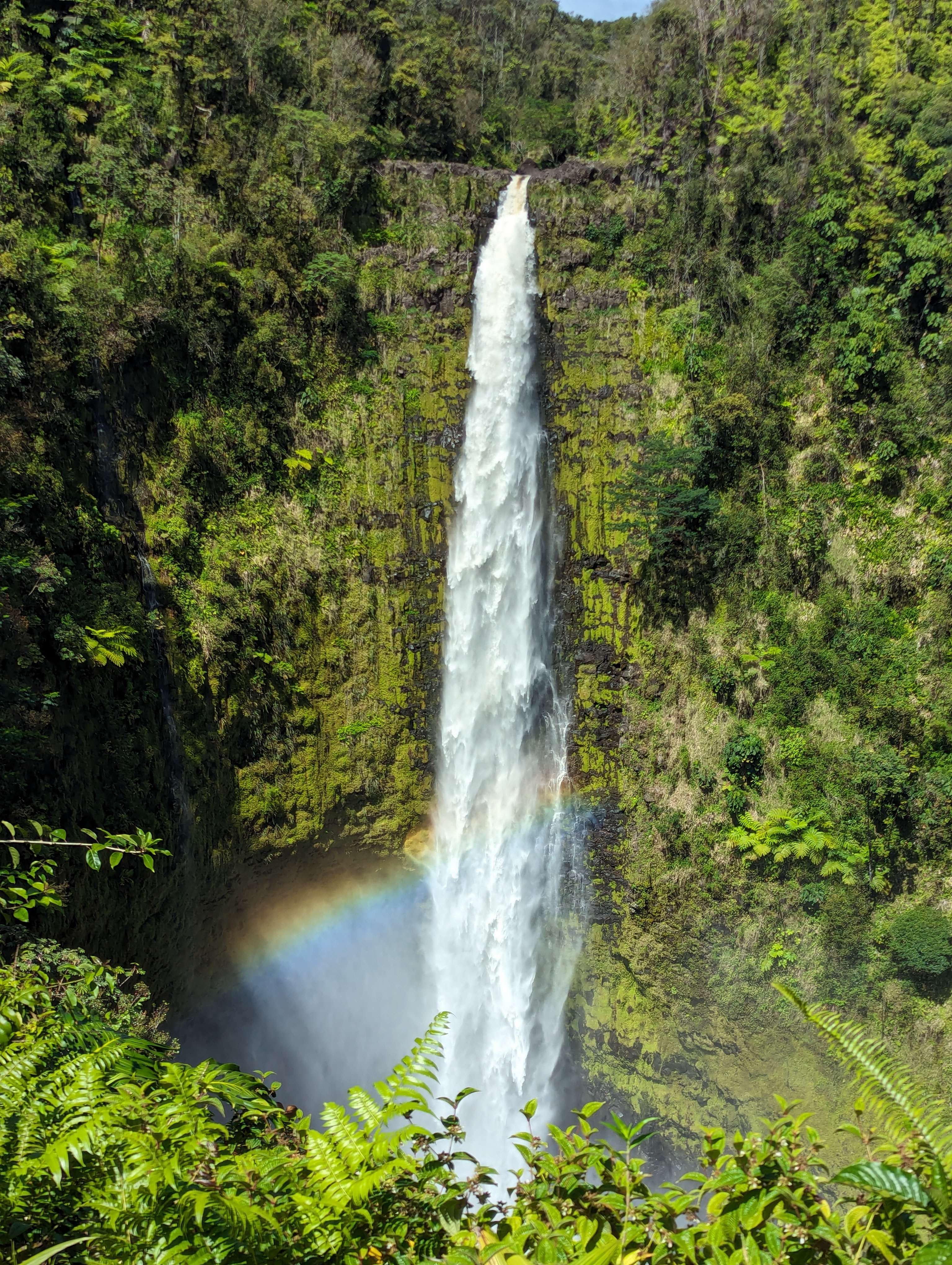 A waterfall forming a rainbow from its mist on a green, overgrown cliffside